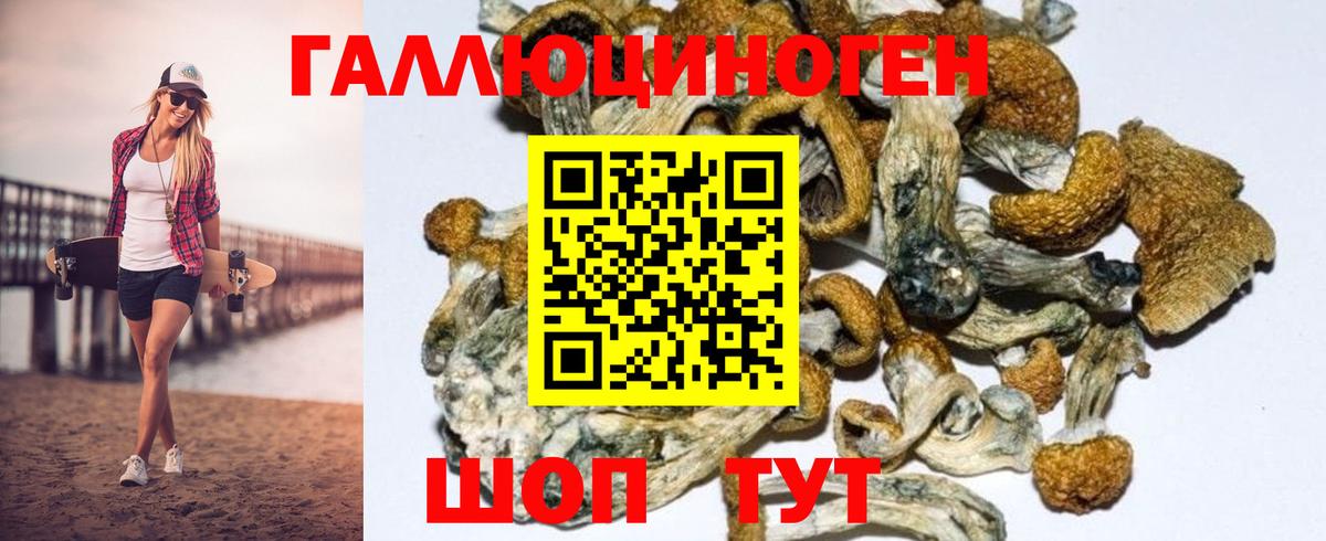 Псилоцибиновые грибы мухоморы Ярославль