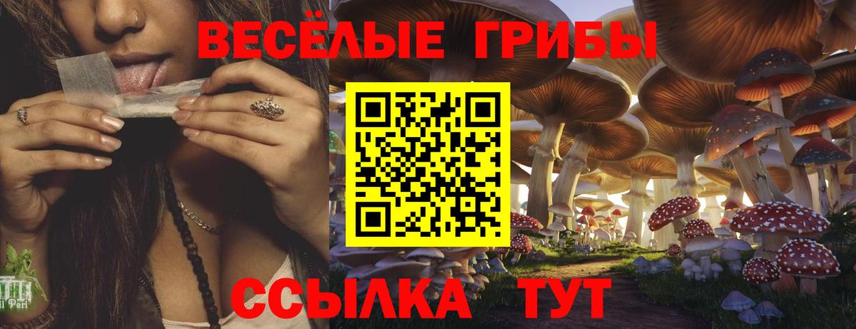 Ярославль  Псилоцибиновые грибы Magic Shrooms  Вход с VPN  Псилоцибиновые грибы GOLDEN TEACHER 